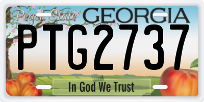 GA license plate PTG2737