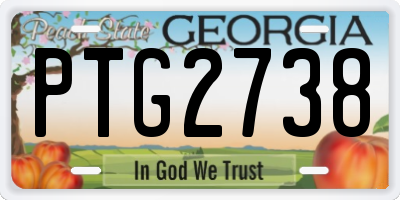 GA license plate PTG2738
