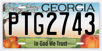 GA license plate PTG2743