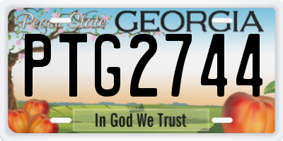 GA license plate PTG2744