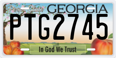 GA license plate PTG2745