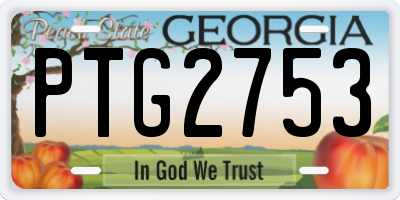 GA license plate PTG2753