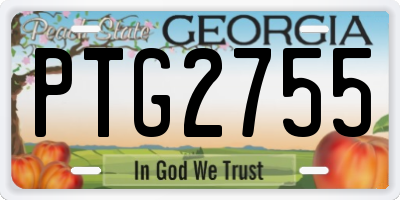 GA license plate PTG2755