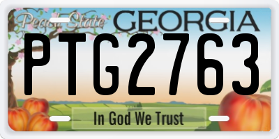 GA license plate PTG2763