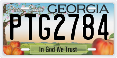 GA license plate PTG2784