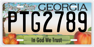 GA license plate PTG2789