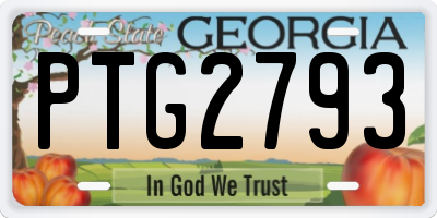 GA license plate PTG2793