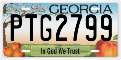 GA license plate PTG2799