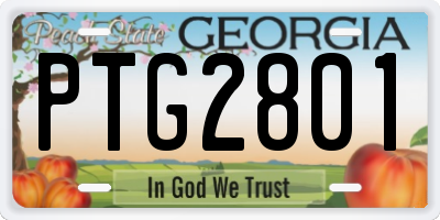GA license plate PTG2801