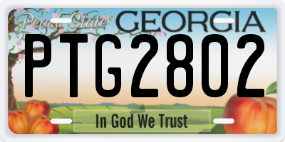 GA license plate PTG2802
