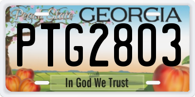 GA license plate PTG2803