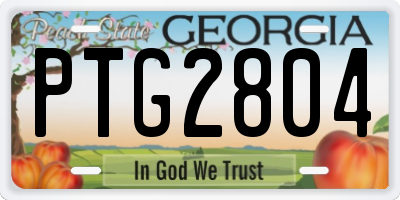 GA license plate PTG2804