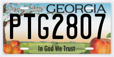 GA license plate PTG2807