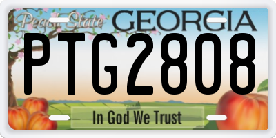GA license plate PTG2808