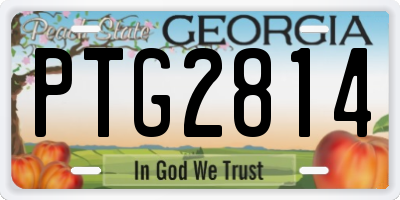 GA license plate PTG2814