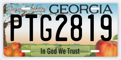 GA license plate PTG2819