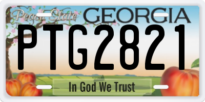 GA license plate PTG2821