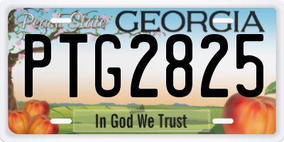 GA license plate PTG2825