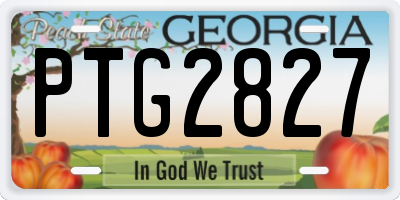 GA license plate PTG2827