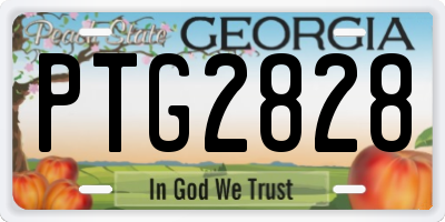 GA license plate PTG2828