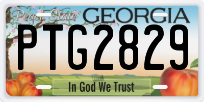 GA license plate PTG2829