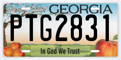 GA license plate PTG2831