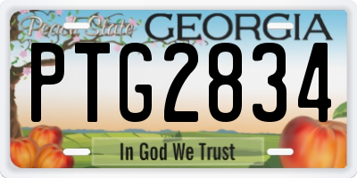 GA license plate PTG2834