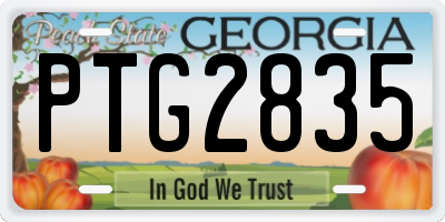 GA license plate PTG2835