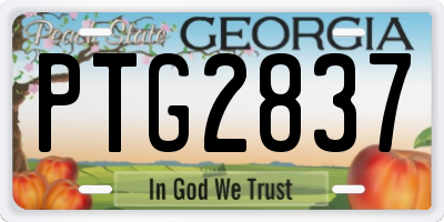 GA license plate PTG2837