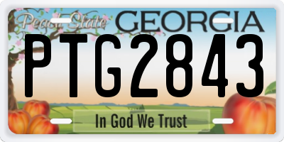 GA license plate PTG2843