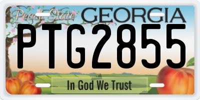 GA license plate PTG2855