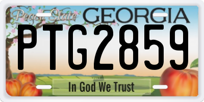GA license plate PTG2859