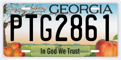 GA license plate PTG2861