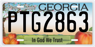 GA license plate PTG2863