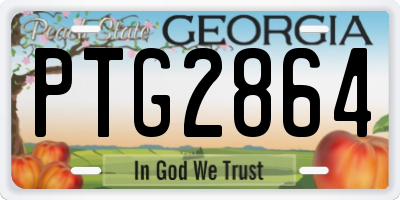 GA license plate PTG2864