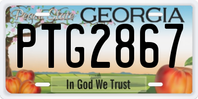 GA license plate PTG2867