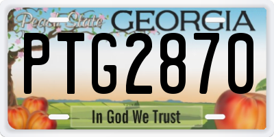 GA license plate PTG2870