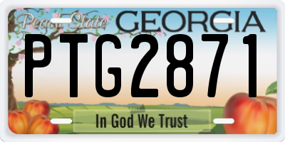 GA license plate PTG2871