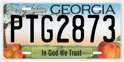 GA license plate PTG2873