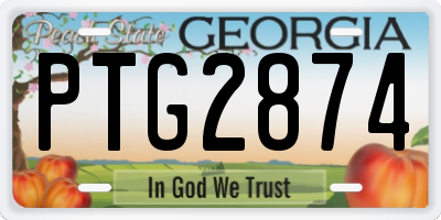 GA license plate PTG2874