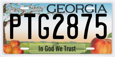 GA license plate PTG2875