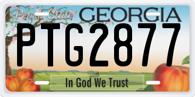 GA license plate PTG2877