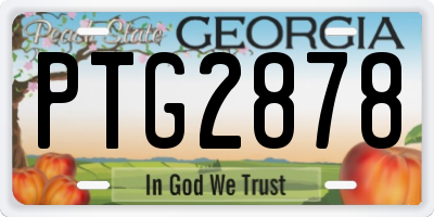 GA license plate PTG2878
