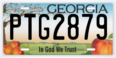 GA license plate PTG2879