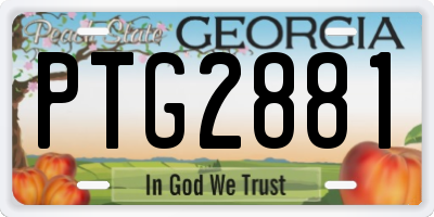 GA license plate PTG2881