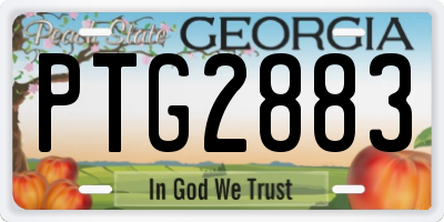 GA license plate PTG2883