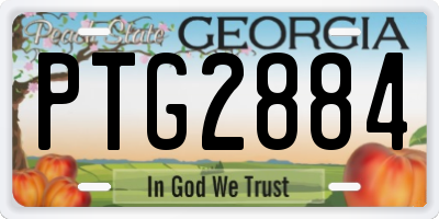 GA license plate PTG2884