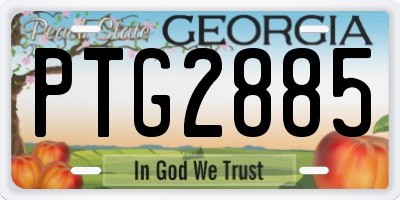 GA license plate PTG2885