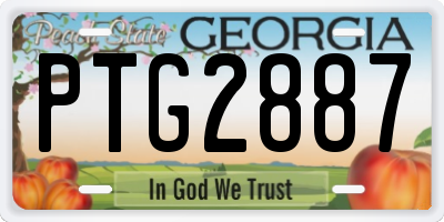 GA license plate PTG2887
