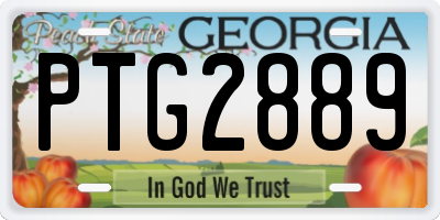 GA license plate PTG2889
